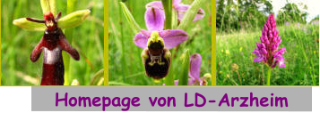 Homepage von LD-Arzheim